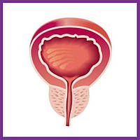 Засоби від простатиту