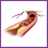 Підтримка ліпідного обміну
