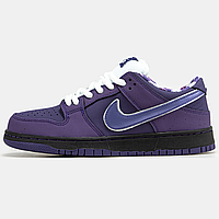 Кроссовки мужские и женские Nike SB Dunk low Purple / кеды Найк СБ Данк фиолетовые