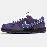 Кроссовки женские и мужские Nike SB Dunk low Purple / кеды Найк СБ Данк фиолетовые