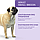 Optimeal Adult Small Dogs сухий корм для собак малих порід з качкою 1.5 КГ, фото 8