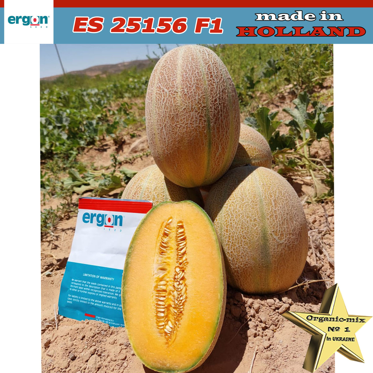 Диня рання ES 25156 F1, 500 насінин Ergon Seeds (Нідерланди), фото 1