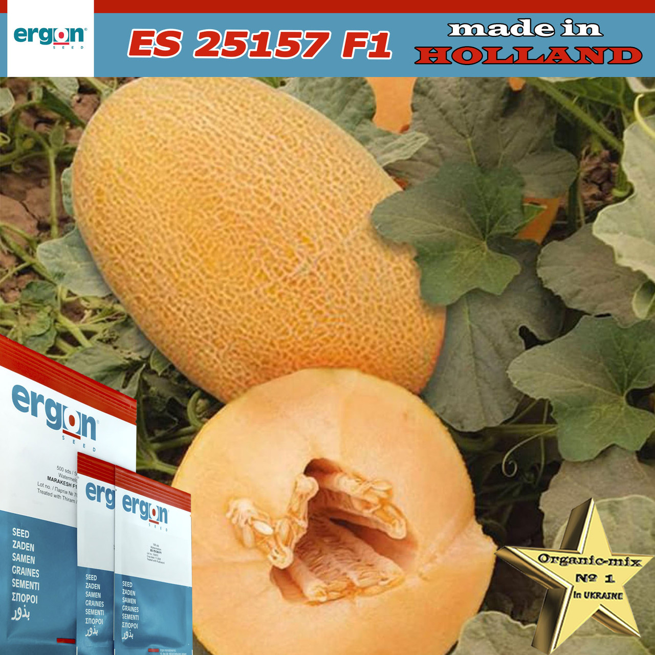 Диня рання ES 25157 F1, 500 насінин, Ergon seeds (Нідерланди)