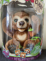 Интерактивный мишка Кабби Фуриал Медвежонок Каби FurReal Friends Cubby The Curious Bear Hasbro