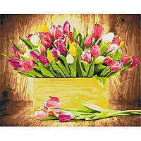 Картина по номерам "Праздничные тюльпаны" Brushme BS5666 40х50 см