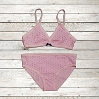 Комплект "Gabbi" топ + труси, рожевий у крапку