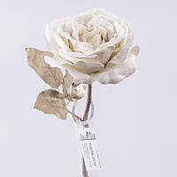 Оксамитова троянда (CR-01 -кремова)