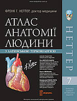 Атлас анатомії людини з латинською термінологією: 7-е видання / Френк Г. Неттер (75408)
