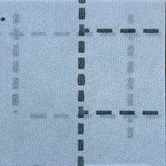 Мембрана пароізоляційна BRAVA 90 г/м2, 75 м2 (бар'єр для водяної пари)