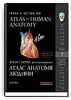 Атлас анатомії людини: 7-е видання / Френк Г. Неттер (дві мови) (75160)