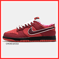 Кроссовки мужские и женские Nike SB Dunk Low Red Lobster / кеды Найк СБ Данк красные