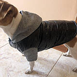 Куртка для собак, фото 7