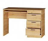 Стіл письмовий Соната (Еверест) 1100*550*755мм, фото 3