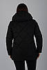 Жіноча  куртка чорна єврозима Aziks м-214, фото 4