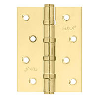 Завiса 100 * 2,5 (4 підшип, сталь) пол.лат Fuxia