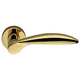 Ручка Colombo DB 31 Wing HPS титан/зол R ф/з, фото 2