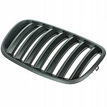 Решітка ноздрі радіатора BMW (БМВ) X5 X6 series E70 E71 (2006 - 2013) Мат, фото 4