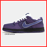 Кроссовки мужские и женские Nike SB Dunk low Purple / кеды Найк СБ Данк фиолетовые