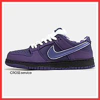 Кроссовки женские и мужские Nike SB Dunk low Purple / кеды Найк СБ Данк фиолетовые