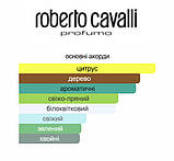 3ml Paradiso Roberto Cavalli Парфумерна вода для жінок розпив відливант, фото 4