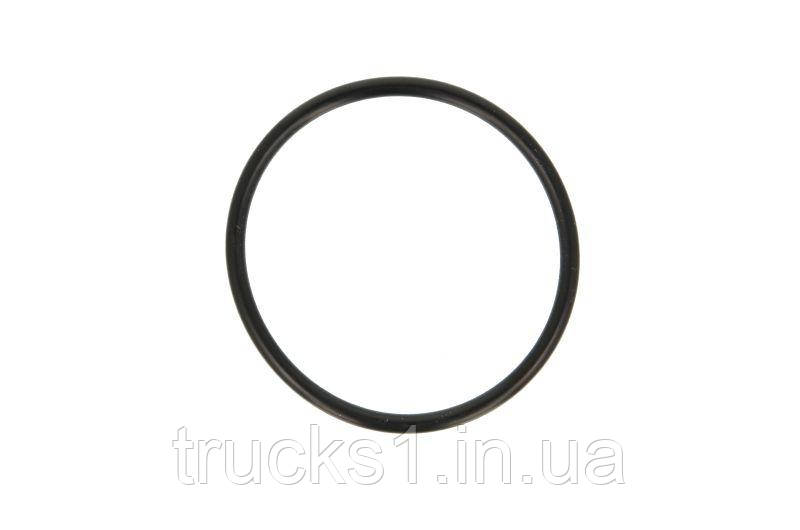 Ущільнююче кільце DEL5855-030HC (DELPHI)