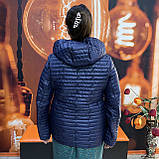 Куртка стьобана жіноча синя батал легка тонка 48 синя, фото 9