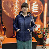 Куртка стьобана жіноча синя батал легка тонка 48 синя, фото 10