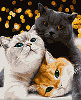 Картина за номерами кіт Котики-муркотики 40 х 50 см MELR-4200 виробництво Україна