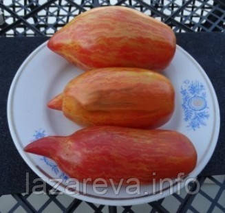 Насіння томату Белла 15 насінин, фото 1