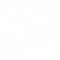 Диск фрегат гладкий бор