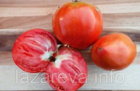 Насіння томату Насіння від Лазарєвих Матусини сльози 15 насінин