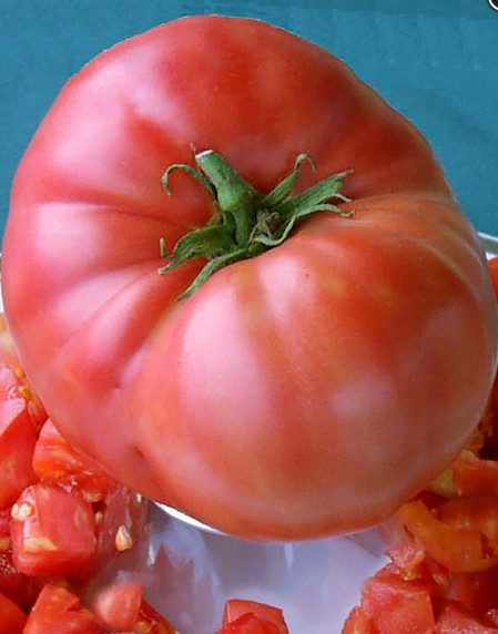 Насіння томату Німецький гігант 15 нас, фото 1