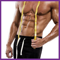 Формування мʼязів і фізична витривалість