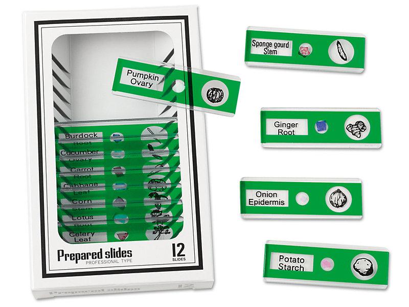 Науковий набір Слайди Овочі (12 шт) від Lakeshore, фото 1