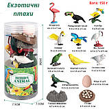 Розвиваючий набір фігурки Екзотичні птахи (14 шт) від Obetty, фото 3