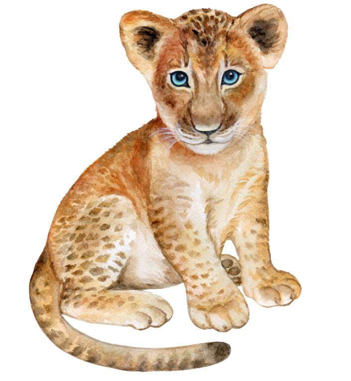 Наклейка для ростової фігури "Сафарі. Левятко реальний" 80х60 см (без обрізу за контуром)