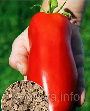 Насіння томату Перцевидний гігант 15 насінин, фото 1