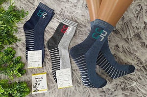 Дитячі шкарпетки р. 22 (32-34) стрейч за 1 пару для хлопчика Friendly Socks 3011018-015