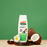 Palmer's Coconut Oil Shampoo, 400 мл. зволожуючий шампунь з кокосовою олією, фото 3