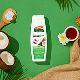 Palmer's Coconut Oil Shampoo, 400 мл. зволожуючий шампунь з кокосовою олією, фото 2