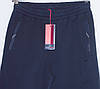 Чоловічі спортивні штани комбіновані плащівка AVIC/MXTIM L,XL,XXL,3XL, фото 6