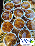 Пластикове відро 1 літра біле з кришкою харчова тара оптом для меду, соління, квашенини, салатів, ікри, риби, фото 9