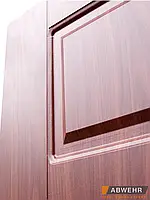 Двері Quadro комплектація Classic, фото 4