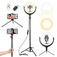 Лампа кольцевая комплект LED CODN-539B 10 inch+1.45cm tripod stand