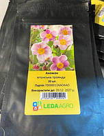 Семена анемоны, 20 шт., японская роза, ТМ "ЛедаАгро"