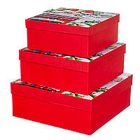 Новогодние подарочные коробки набор из 3 коробок "Зимние птички" 28*28*11