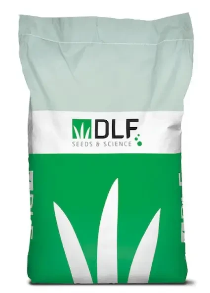 Трава газонна Робустіка вагова (ціна за 100г) DLF Данія, фото 1
