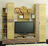 Набір для вітальні Бриз 1 (Еверест), фото 3