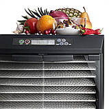 Дегидратор (сушарка для фруктів) Excalibur Deluxe EXC10EL Stainless Steel, фото 6