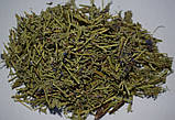 Трава ісопу лікарського 100 грам, фото 2